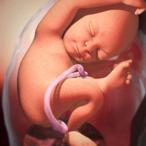 седмица от бременността: какво се случва с мама