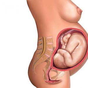Поднятие плаценты по неделям: норма, упражнения для поднятия плаценты при беременности